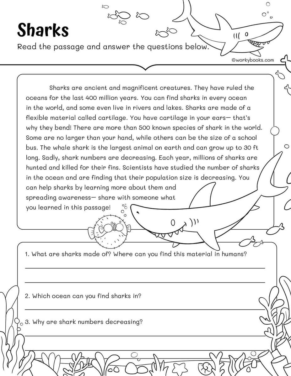 Page 4 Free Printable 3rd Grade Reading Worksheet Templates Canva