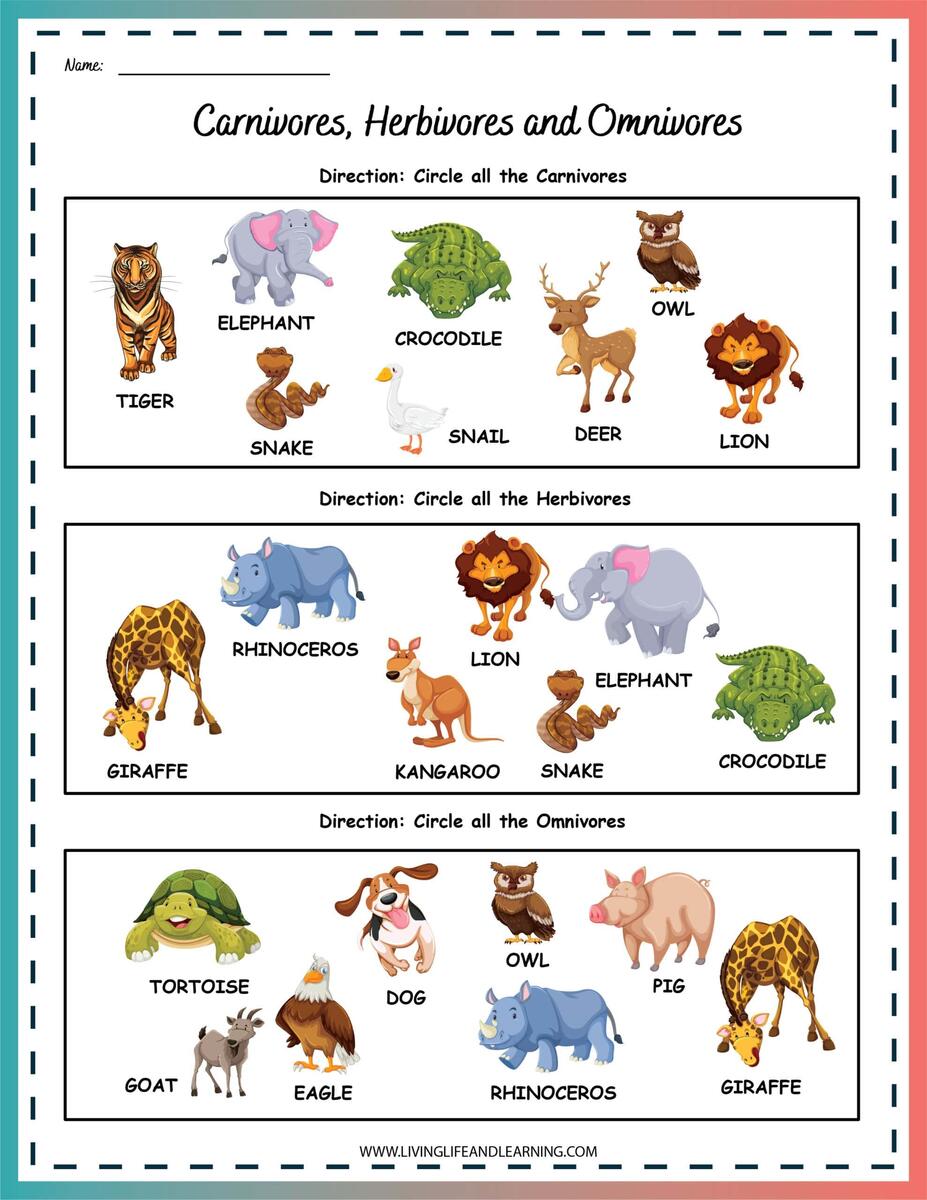 Carnivore Herbivore Omnivore Worksheets Story Carnivore Herbivore Omnivore Worksheets Story