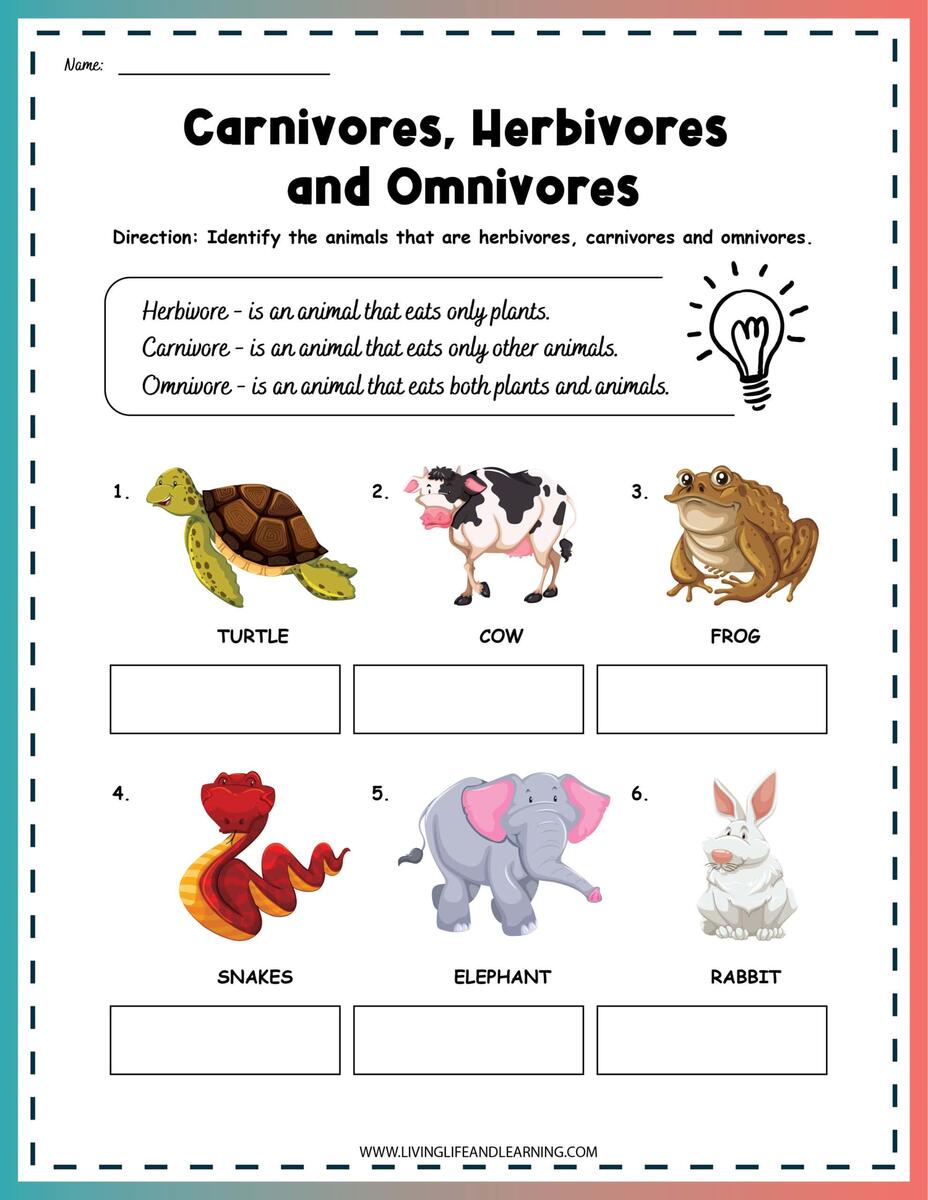 Carnivore Herbivore Omnivore Worksheets Story