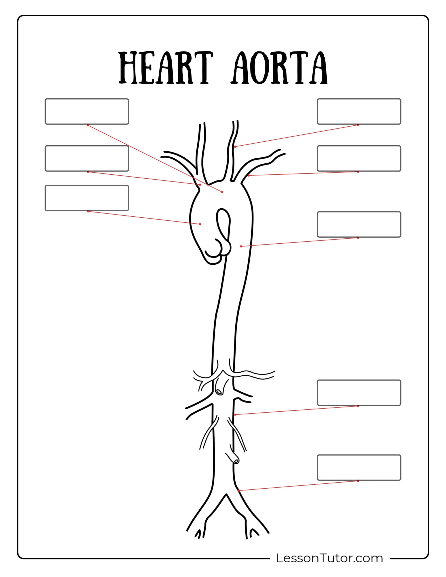 Circulatory System Worksheets Free Coloring Pages PDF Printables And Worksheets Lesson Tutor Circulatory System Worksheets Free Coloring Pages PDF Printables And Worksheets Lesson Tutor