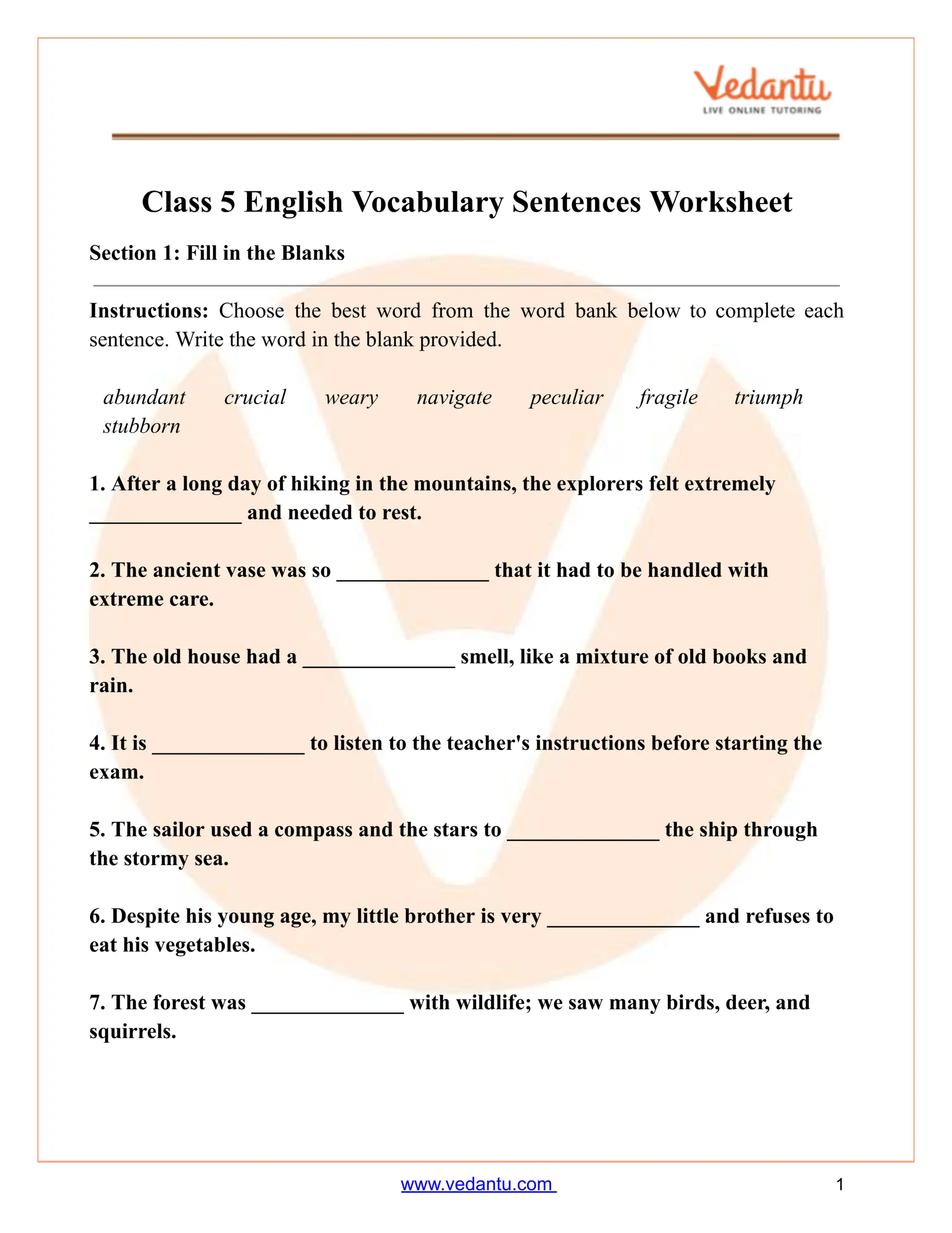 Class 5 Vocabulary Sentences Worksheet PDF Free Printable Practice Class 5 Vocabulary Sentences Worksheet PDF Free Printable Practice