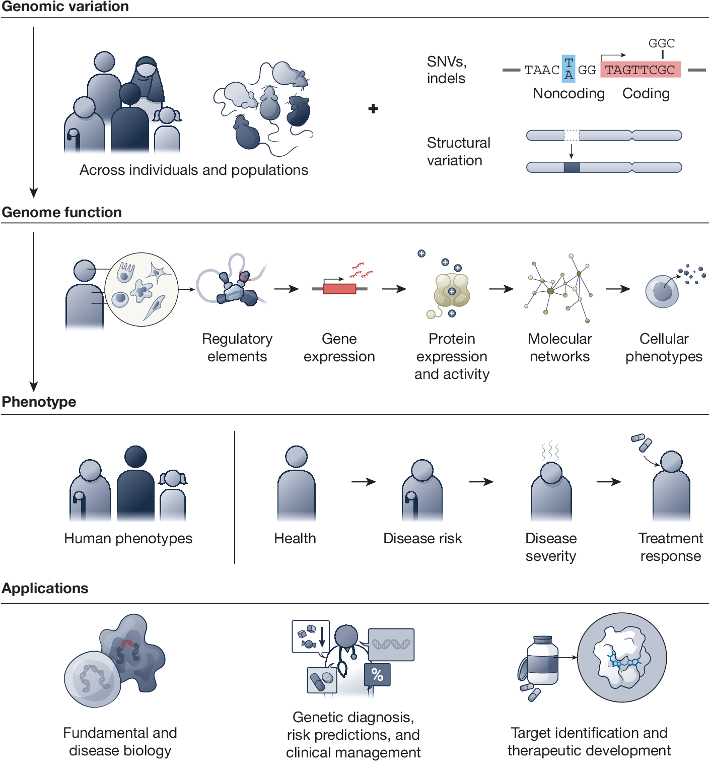 Deciphering The Impact Of Genomic Variation On Function Nature Deciphering The Impact Of Genomic Variation On Function Nature