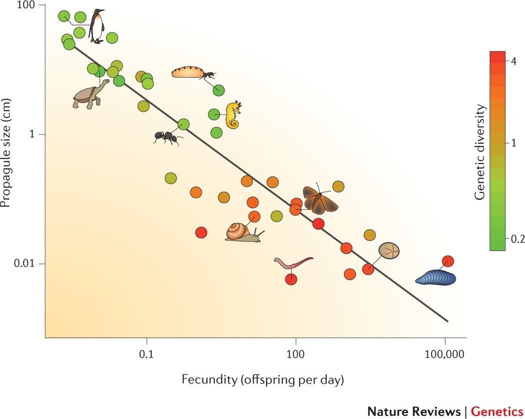 Determinants Of Genetic Diversity Nature Reviews Genetics Deciphering The Impact Of Genomic Variation On Function Nature