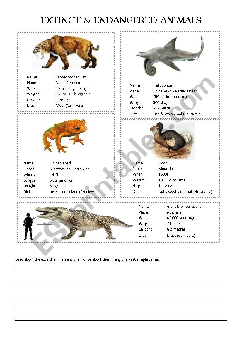 Endangered Animal Worksheet Learn And Protect Wildlife Endangered Animal Worksheet Learn And Protect Wildlife