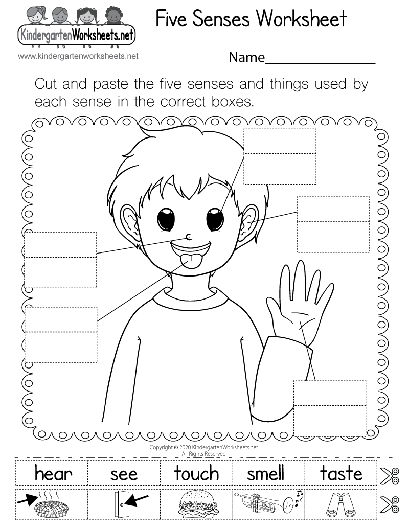 Observing Using The Five Senses Worksheets Science For Kindergarten Made By Teachers