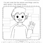 Five Senses Worksheet Free Printable Digital PDF