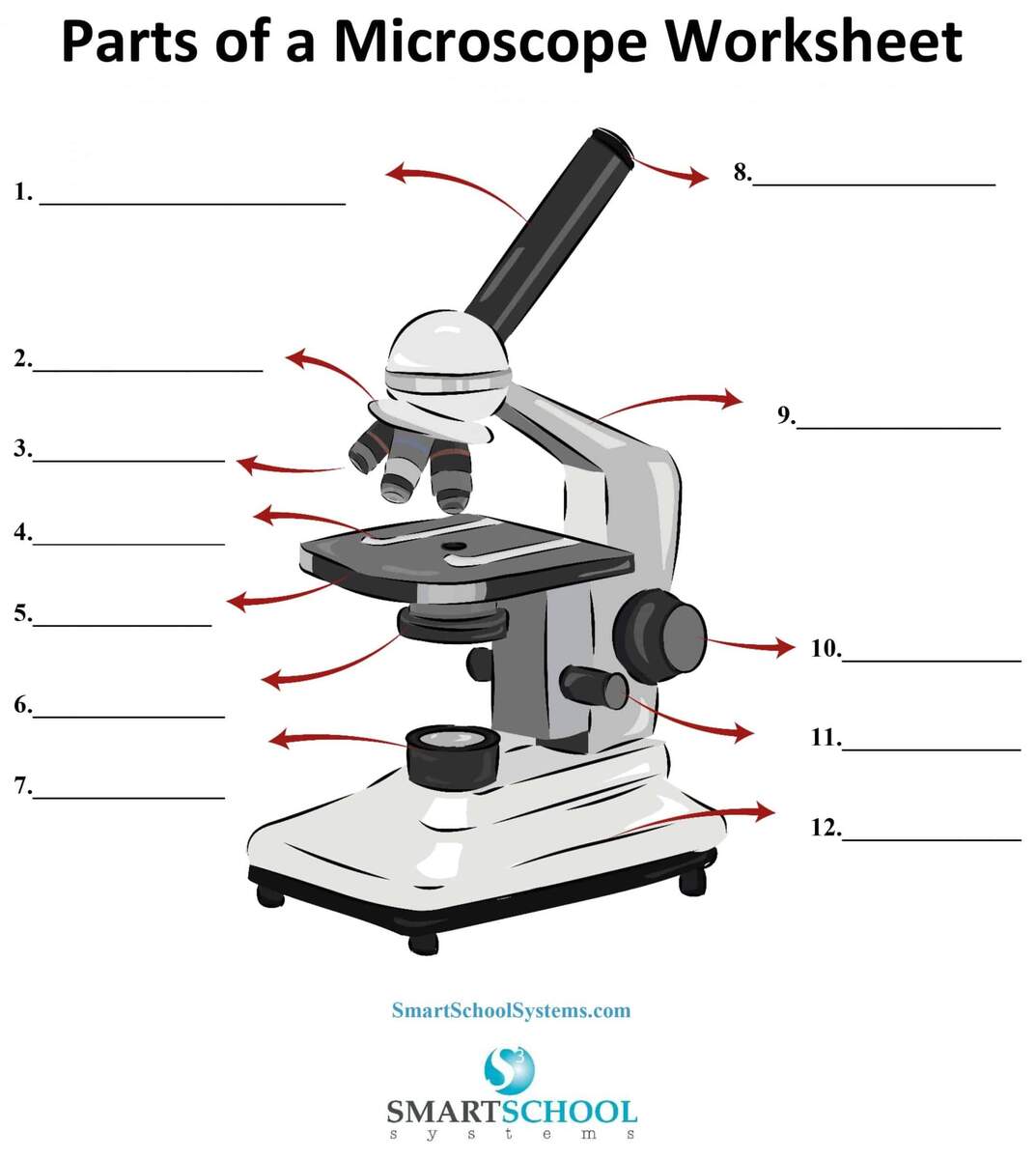 Free Parts Of The Microscope Worksheet Download Free Parts Of The Microscope Worksheet Png Images Free Worksheets On Clipart Library Free Parts Of The Microscope Worksheet Download Free Parts Of The Microscope Worksheet Png Images Free Worksheets On Clipart Library