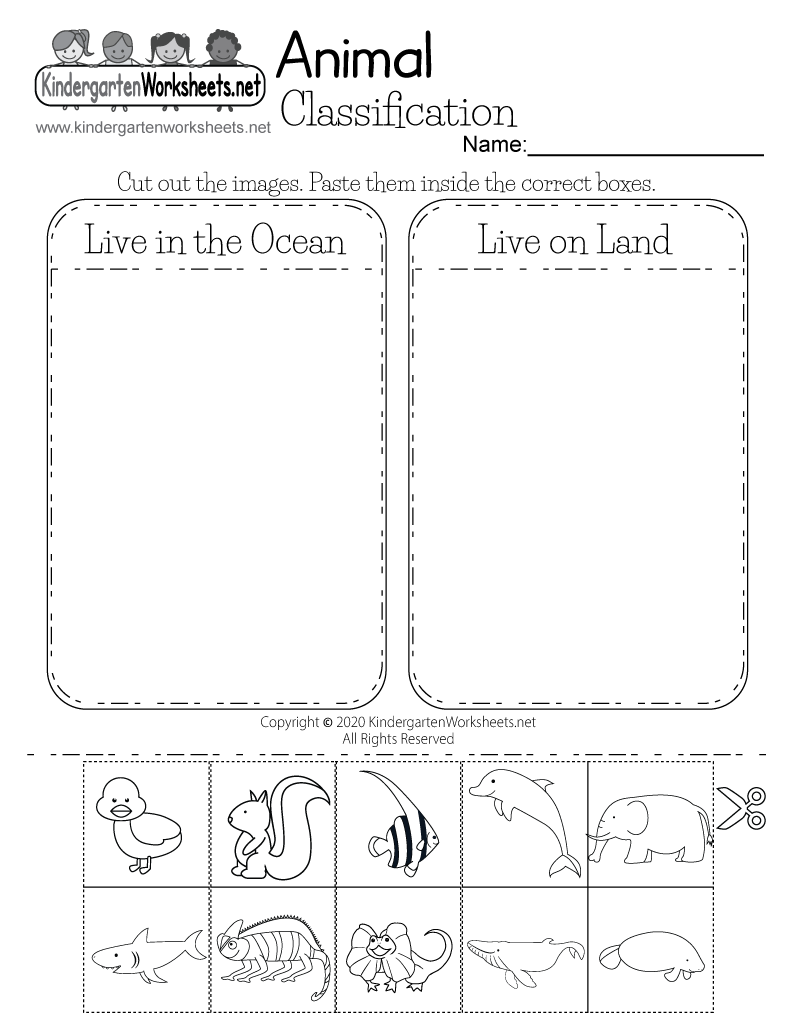Free Printable Animal Classification Worksheet Noun Classification Worksheet Free Printable Do Play Learn