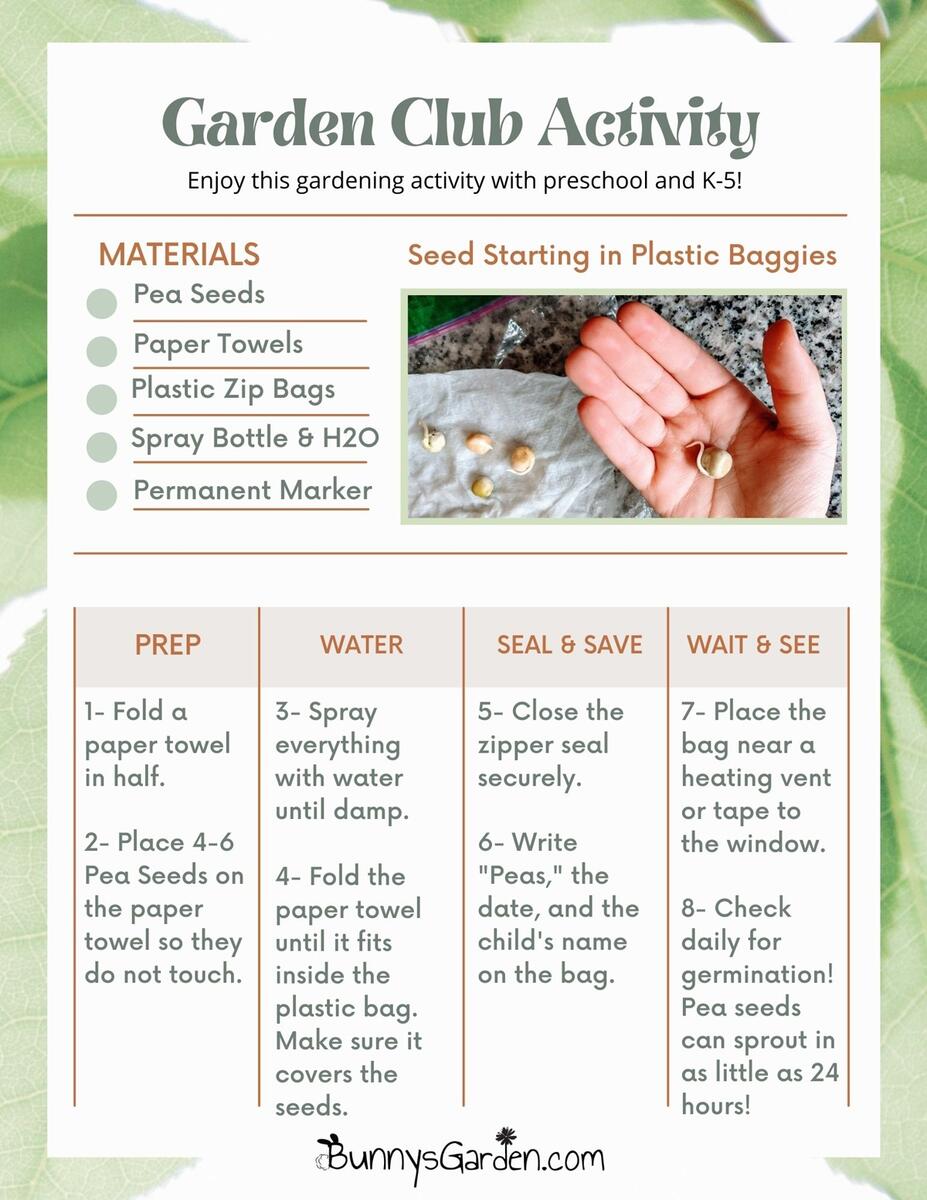 Garden Club Activities Free Gardening Printables Bunny S Garden