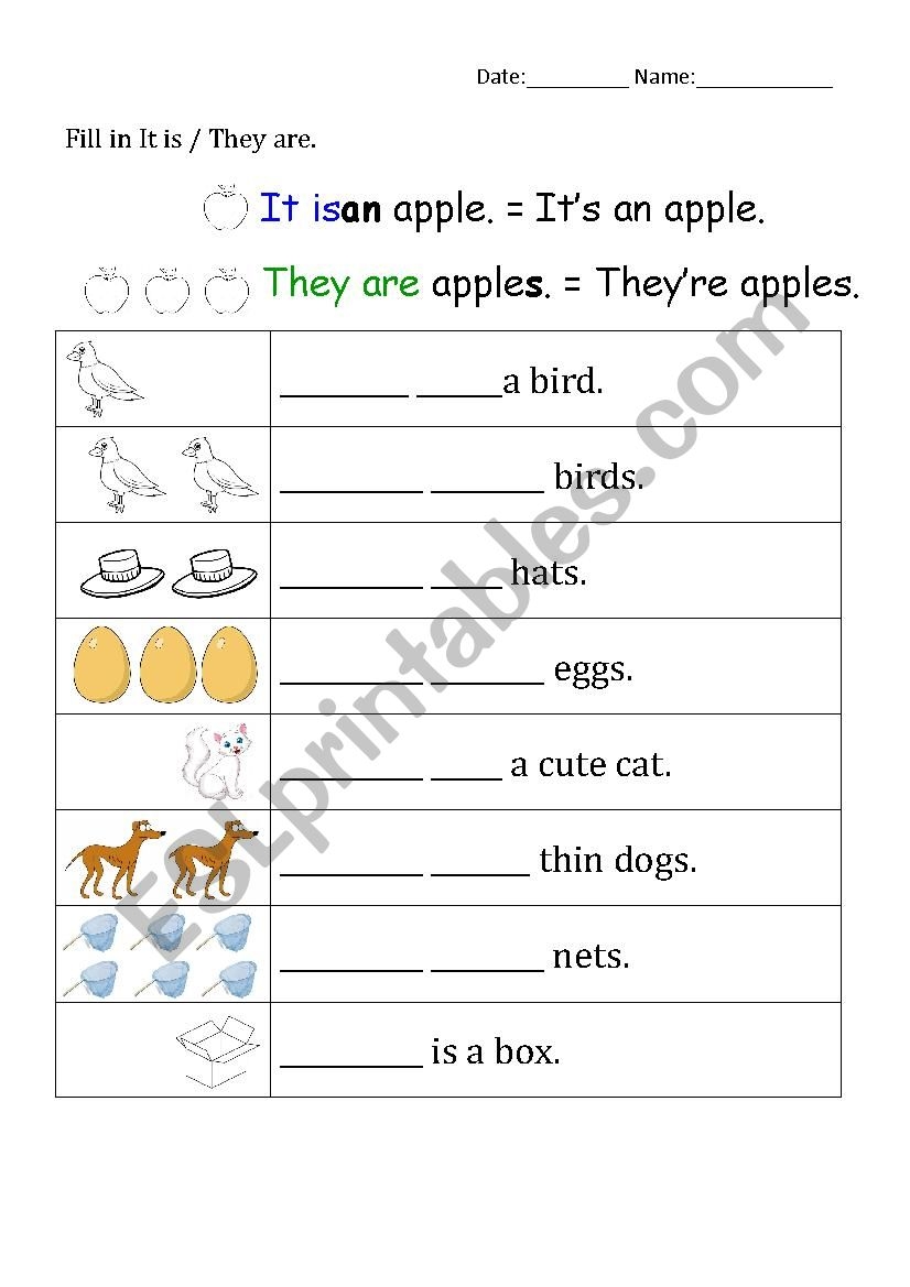Pronouns Worksheet Free Printable Digital PDF