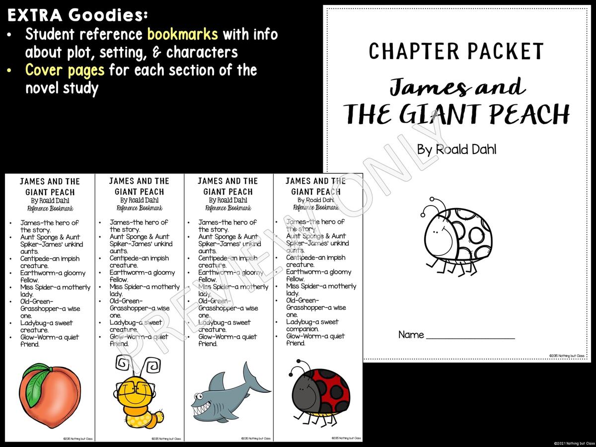 James And The Giant Peach Novel Study Comprehension And Vocabulary With Activities And Tests Made By Teachers
