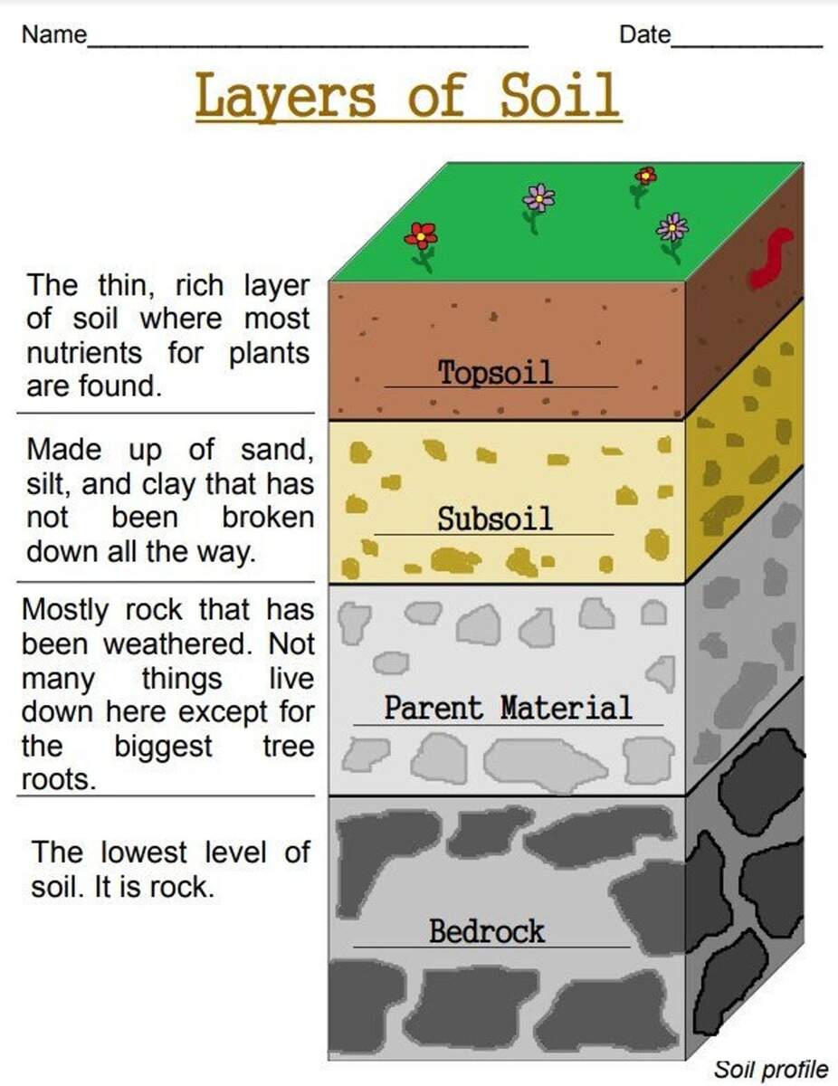 Soil Layers Labeling Worksheet Free Printable