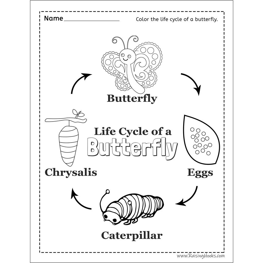 Life Cycle Of A Butterfly Worksheet Raising Hooks Life Cycle Of A Butterfly Tracing Worksheet Raising Hooks