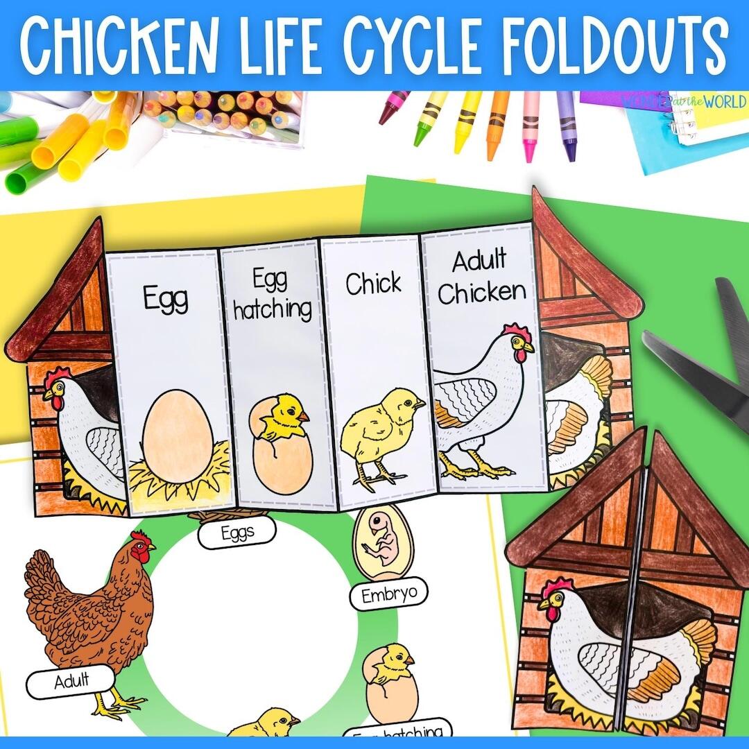 Life Cycle Of A Chicken Foldable Kids Spring Craft Activity A4 And 11x8 5 Inch PDF Digital Download Science Cut And Paste Etsy Hong Kong Life Cycle Of A Chicken Foldable Kids Spring Craft Activity A4 And 11x8 5 Inch PDF Digital Download Science Cut And Paste Etsy Hong Kong