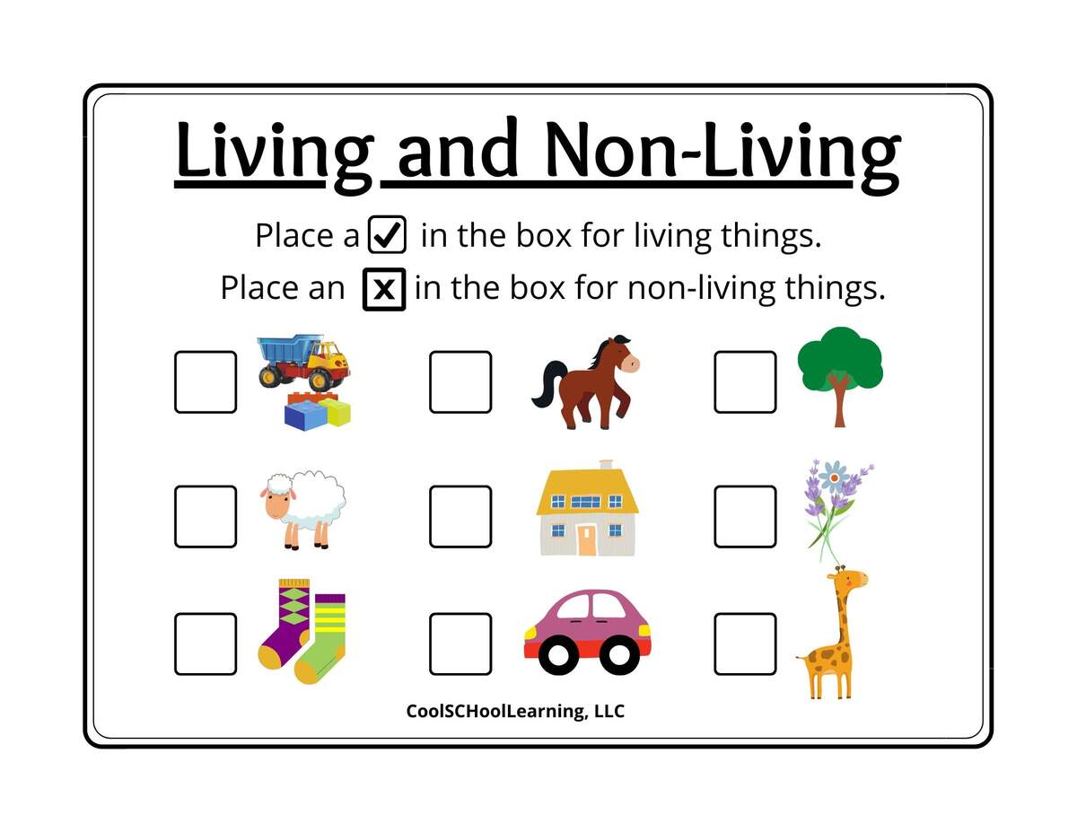 Living And Non Living Printable Preschool Activities Kindergarten Readiness PDF Digital Download Etsy Hong Kong