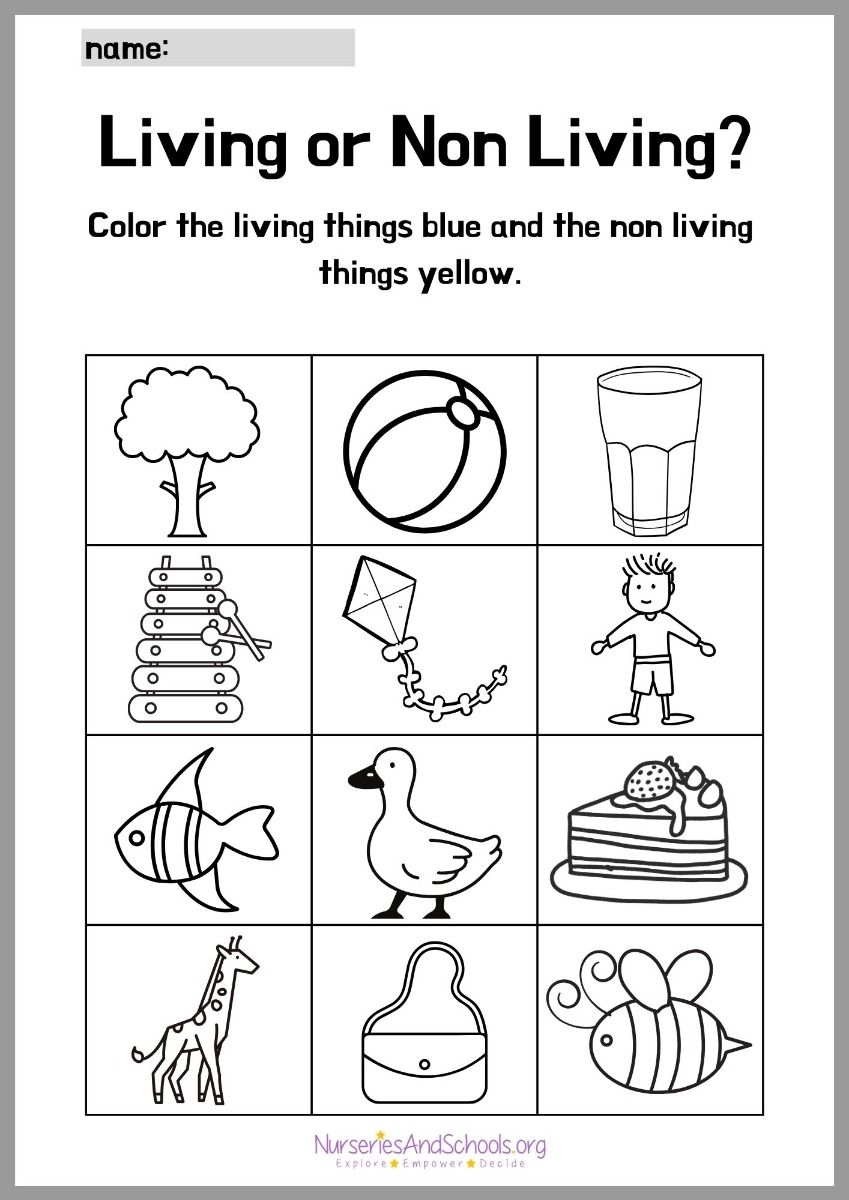 Living And Non Living Printable Preschool Activities Kindergarten Readiness PDF Digital Download Etsy Hong Kong