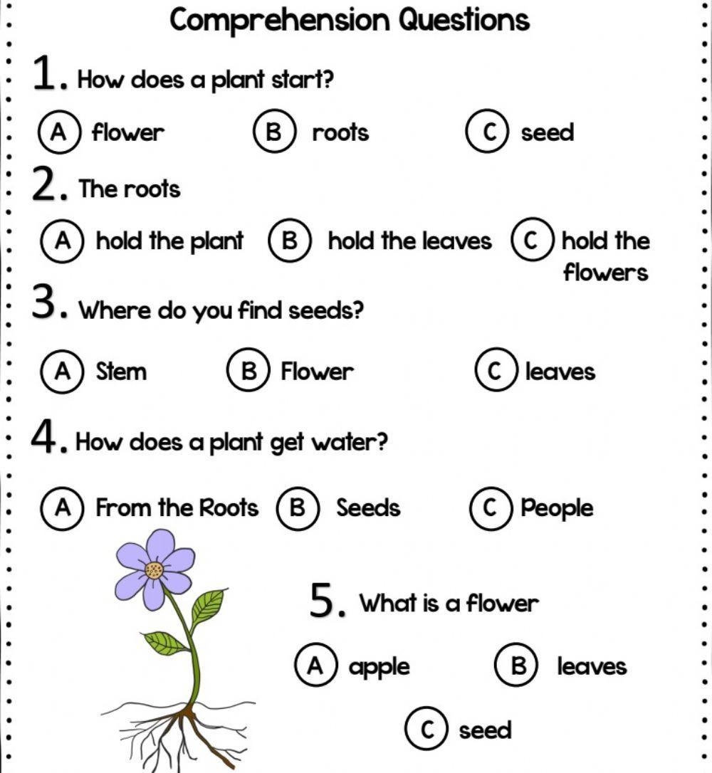 Parts Of The Plant Reading Comprehension Worksheet Worksheets Library Parts Of The Plant Reading Comprehension Worksheet Worksheets Library
