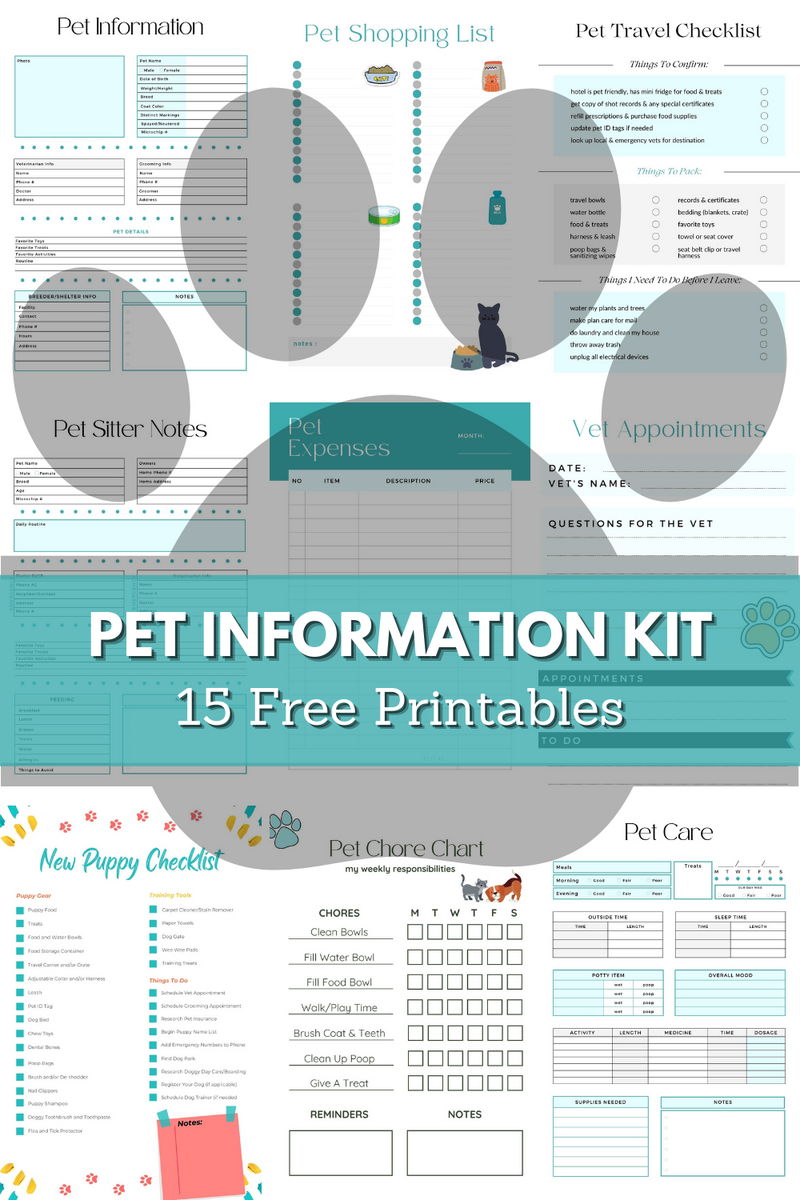 Free Printable Vet Office Pretend Play Sheet