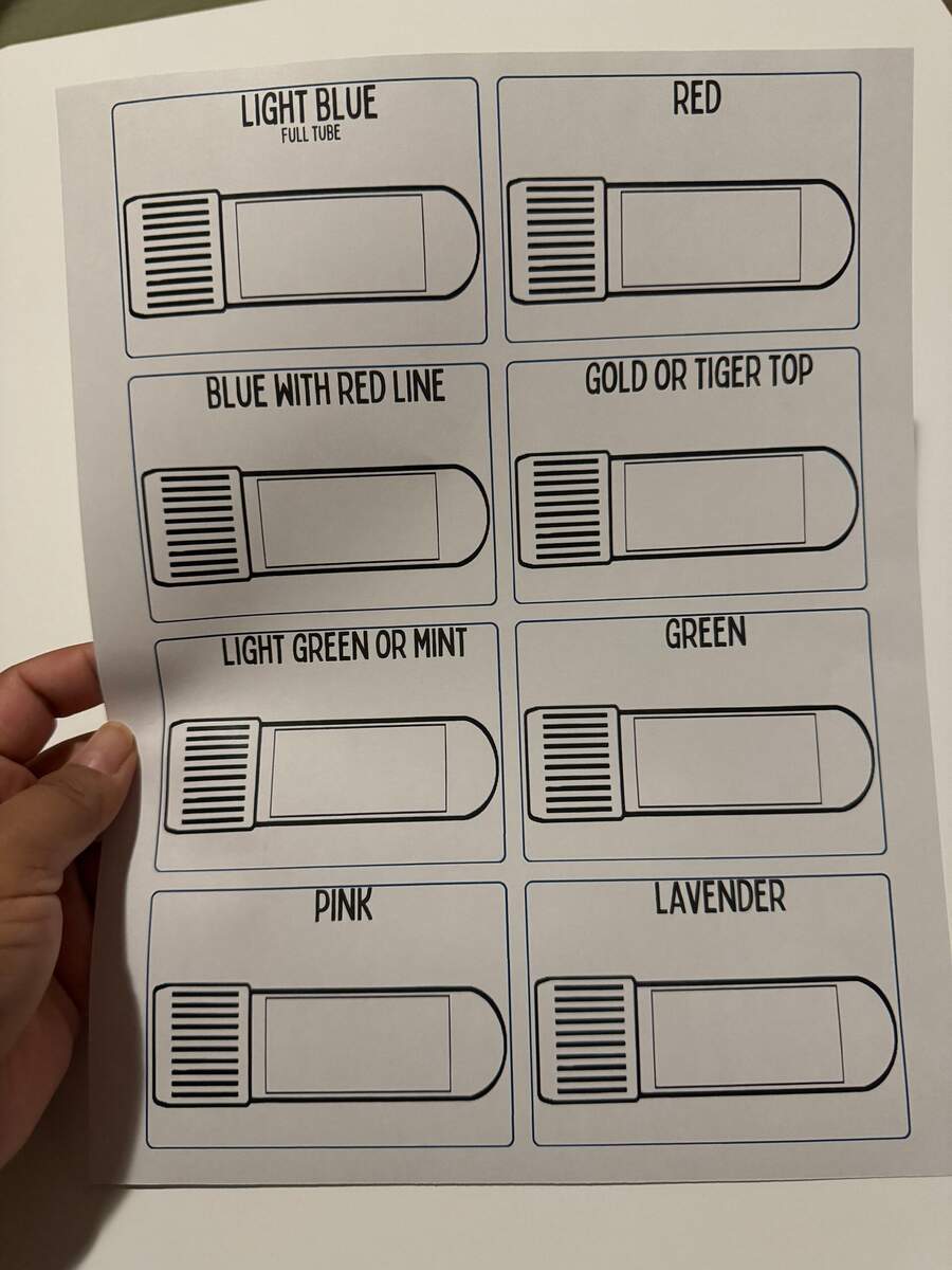 Phlebotomy Order Of Draw Flashcards Etsy Phlebotomy Order Of Draw Flashcards Etsy