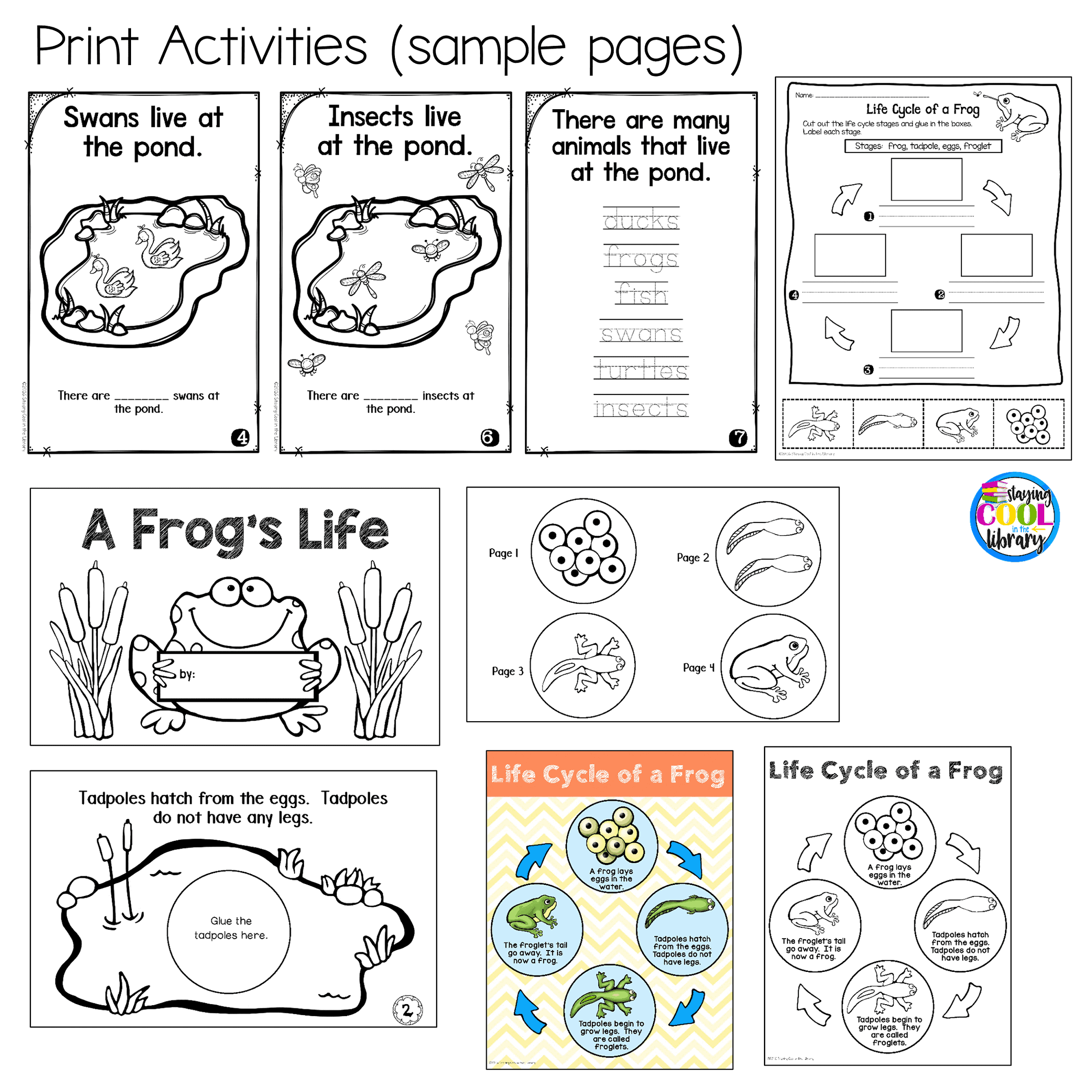 Pond Animals Frog Life Cycle Digital And Print Activities Staying Cool In The Library Pond Animals Frog Life Cycle Digital And Print Activities Staying Cool In The Library