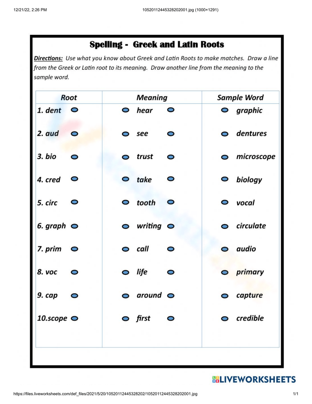 Printable 5th Grade Greek And Latin Roots Worksheets