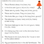 Printable 5th Grade Possessive Pronouns Worksheets
