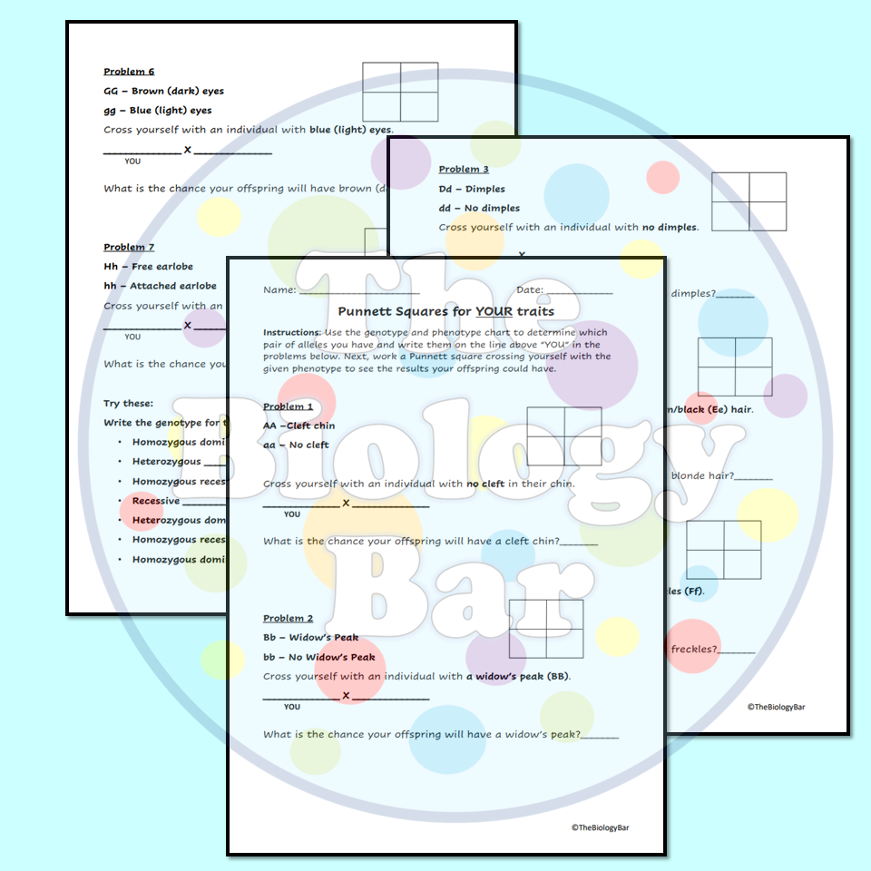 Sex Linked Traits Worksheet Flying Colors Science