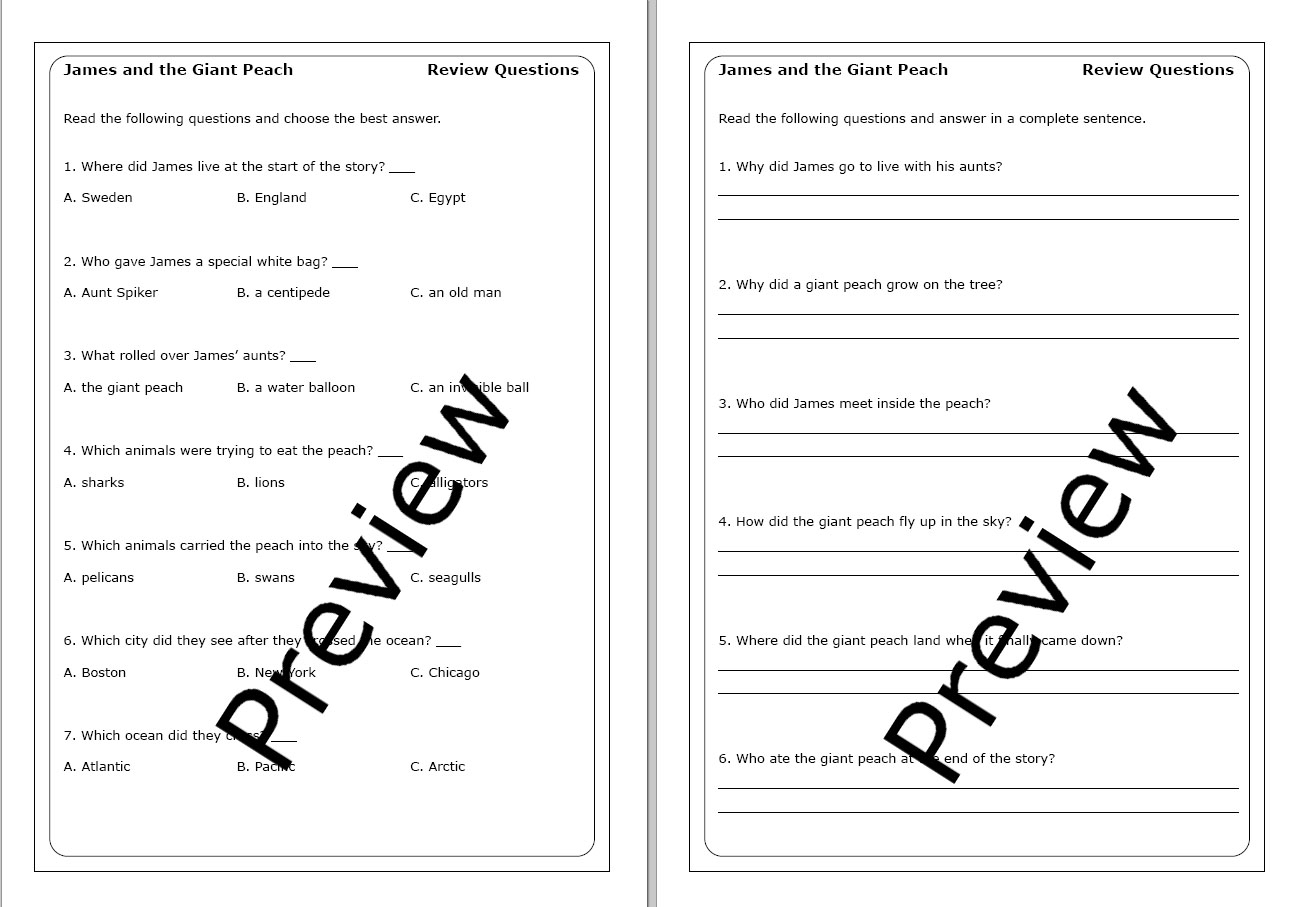 James And The Giant Peach Novel Study Activities Teach With Holly Rachel