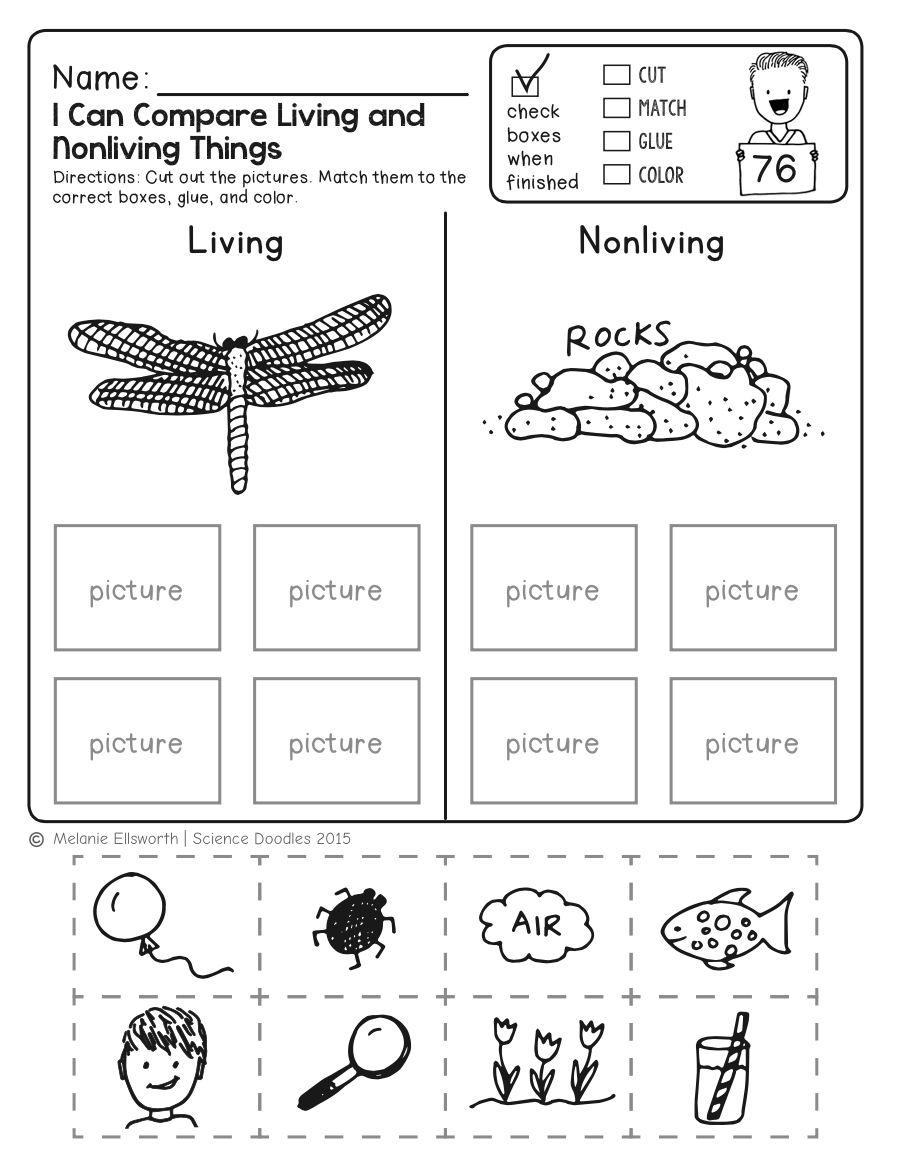 Science Worksheets For Kindergarten 56 Worksheets No Prep By Worksheets Library Interactive Science Notebook Cover Activities Pre K Preschool Science Journal A Dab Of Glue Will Do
