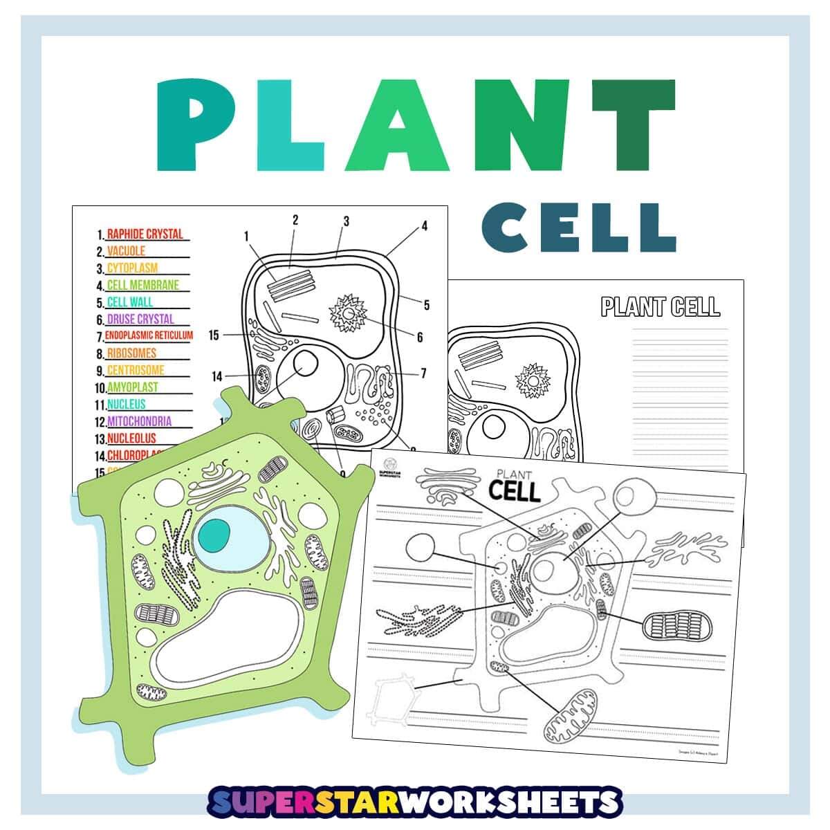 Science Worksheets Superstar Worksheets Science Worksheets Superstar Worksheets