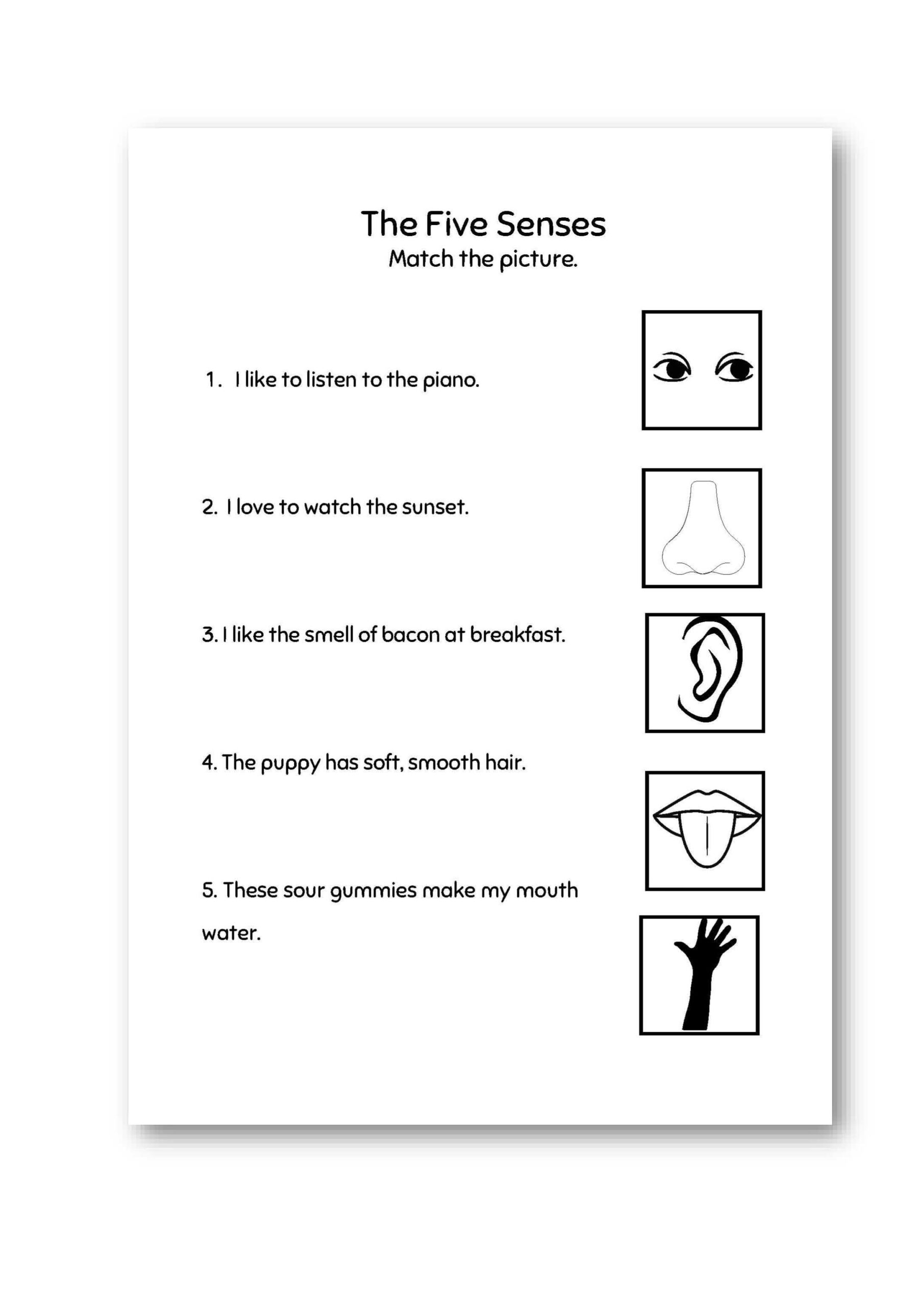 The Five Senses Worksheets 1st Grade Worksheets Teaching Materials Made By Teachers