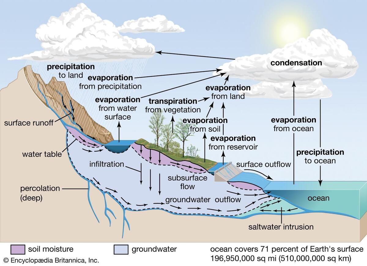 Water Cycle Definition Steps Diagram Facts Britannica