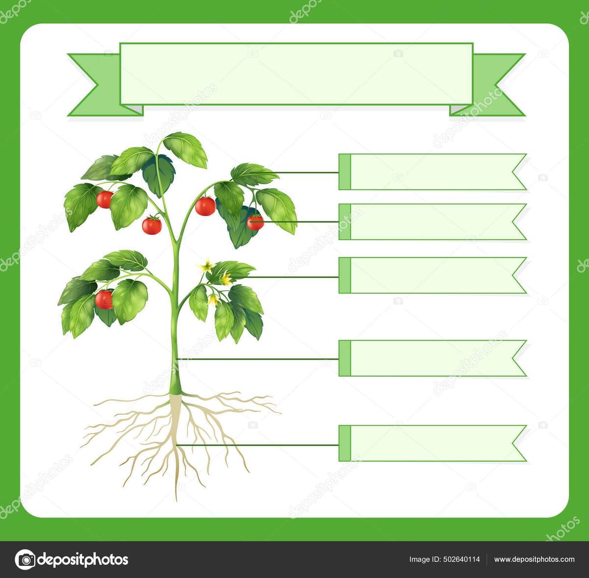Write Parts Plant Worksheet Kids Illustration Stock Vector By Blueringmedia 502640114 33 Plant Life Cycle Activities Free And Creative Teaching Ideas